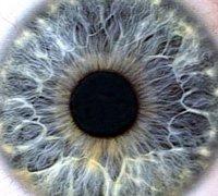 Irisology